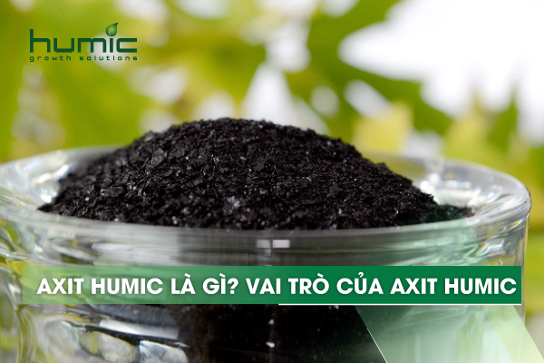 Axit Humic là gì? Vai trò của axit humic đối với đất và cây trồng