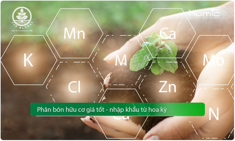 phân bón hữu cơ giá tốt