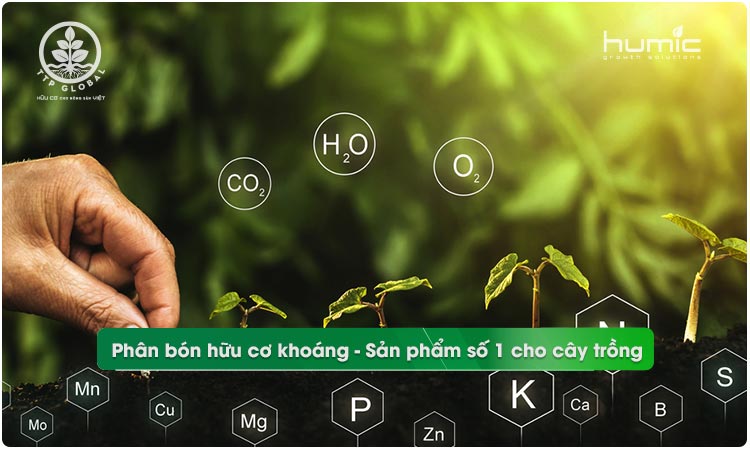 Phân bón hữu cơ khoáng - Sản phẩm số 1 cho cây trồng.