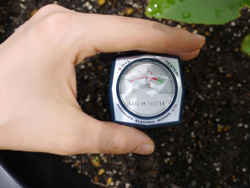 Kiểm tra độ pH - Cách tăng độ pH của đất