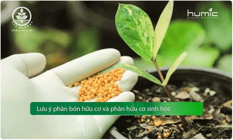 luu y phan bon huu co Lưu ý khi chọn phân bón hữu cơ, phân hữu cơ sinh học cho cây trồng