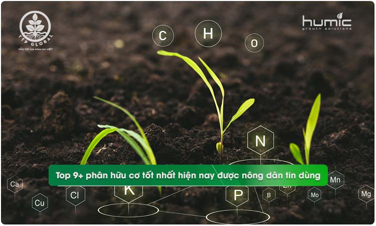 phân hữu cơ tốt nhất hiện nay