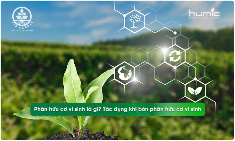 Phân hữu cơ vi sinh là gì?