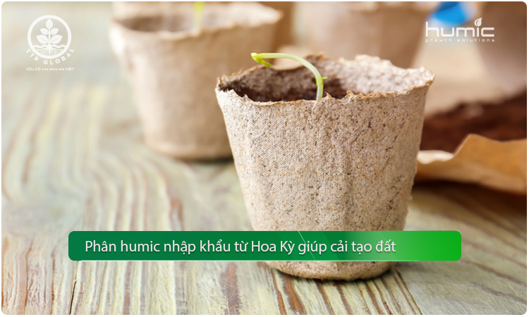 phân hữu cơ humic kích rễ