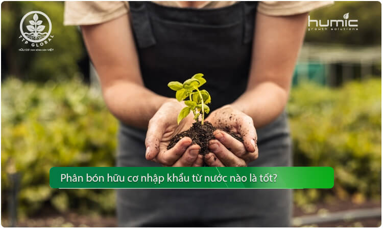 Phân bón hữu cơ nhập khẩu tốt nhất