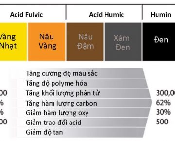 Tính chất hóa học của Humic