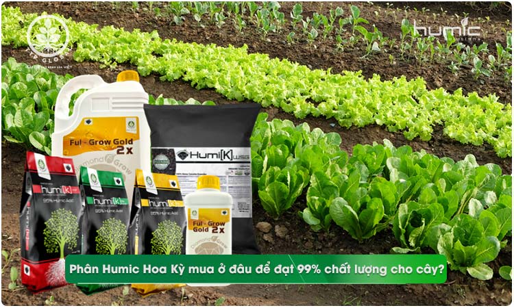 Phân Humic Hoa Kỳ mua ở đâu là tốt nhất.
