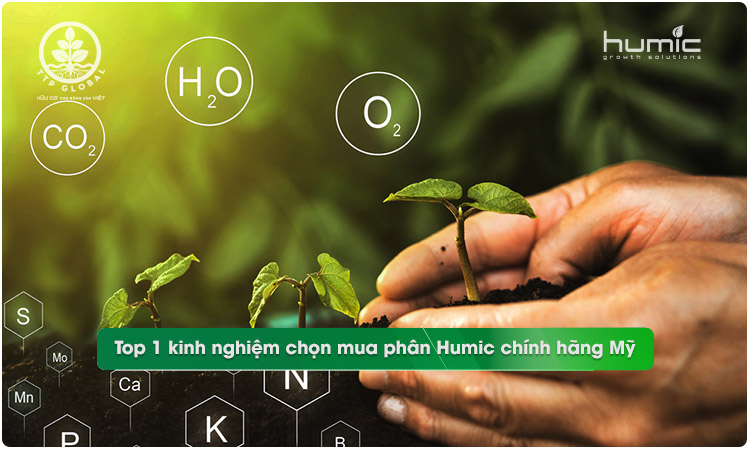 Kinh nghiệm chọn mua phân Humic chính hãng Mỹ chất lượng.