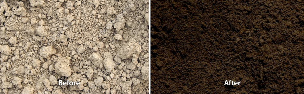 Đất trước và sau khi bổ sung humic