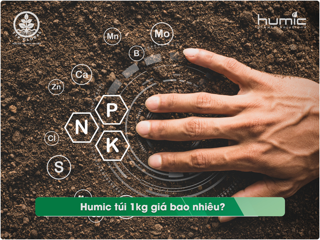 Humic túi 1kg giá bao nhiêu? Công dụng của phân humic