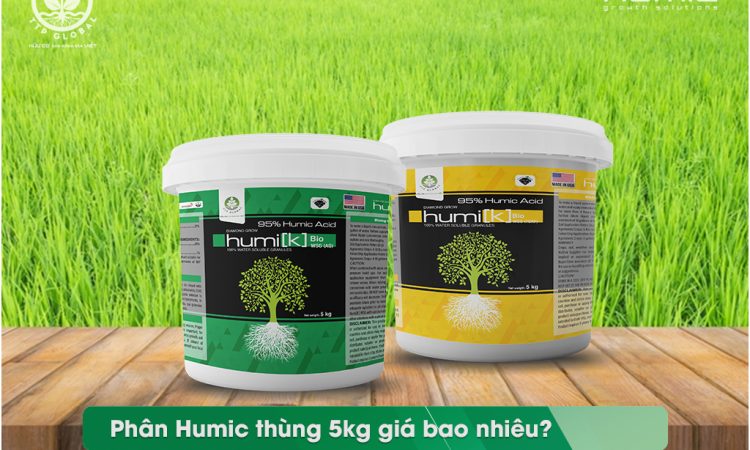 Phân Humic là gì - Humic thùng 5kg giá bao nhiêu