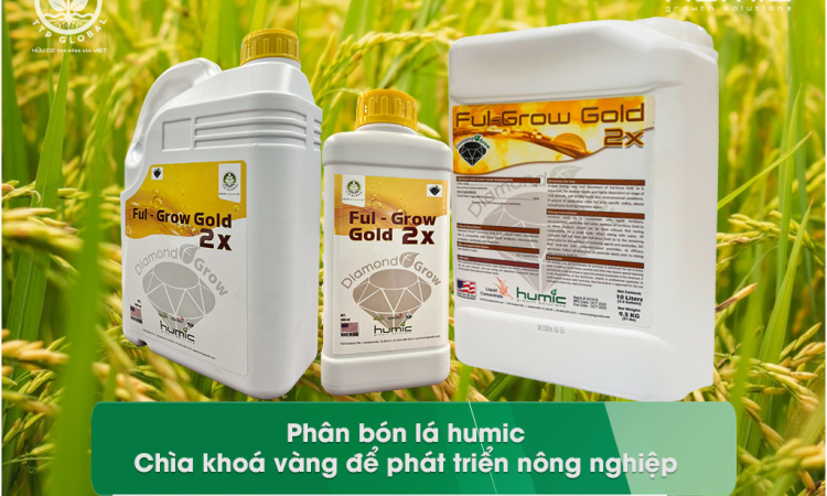 Phân bón lá humic: Chìa khoá vàng để phát triển nông nghiệp